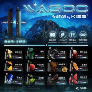 WAGOO 6500口拋棄式 | KIS5 高端品牌新品上市