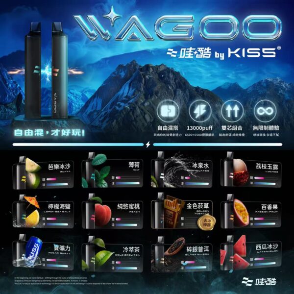 WAGOO 6500口拋棄式 | KIS5 高端品牌新品上市