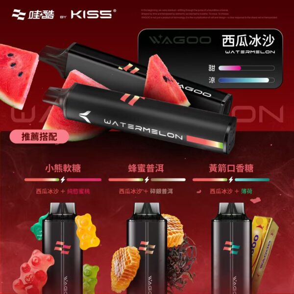 WAGOO 6500口拋棄式 | KIS5 高端品牌新品上市