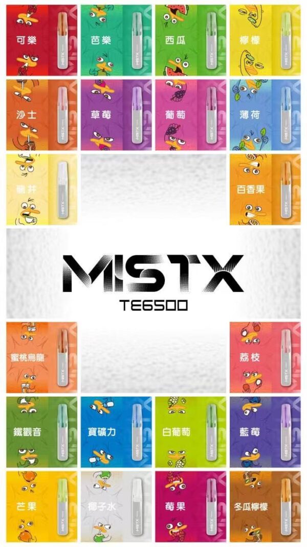 鴨嘴獸 6500口拋棄式 | 人體工學吸嘴設計 | 台灣現貨